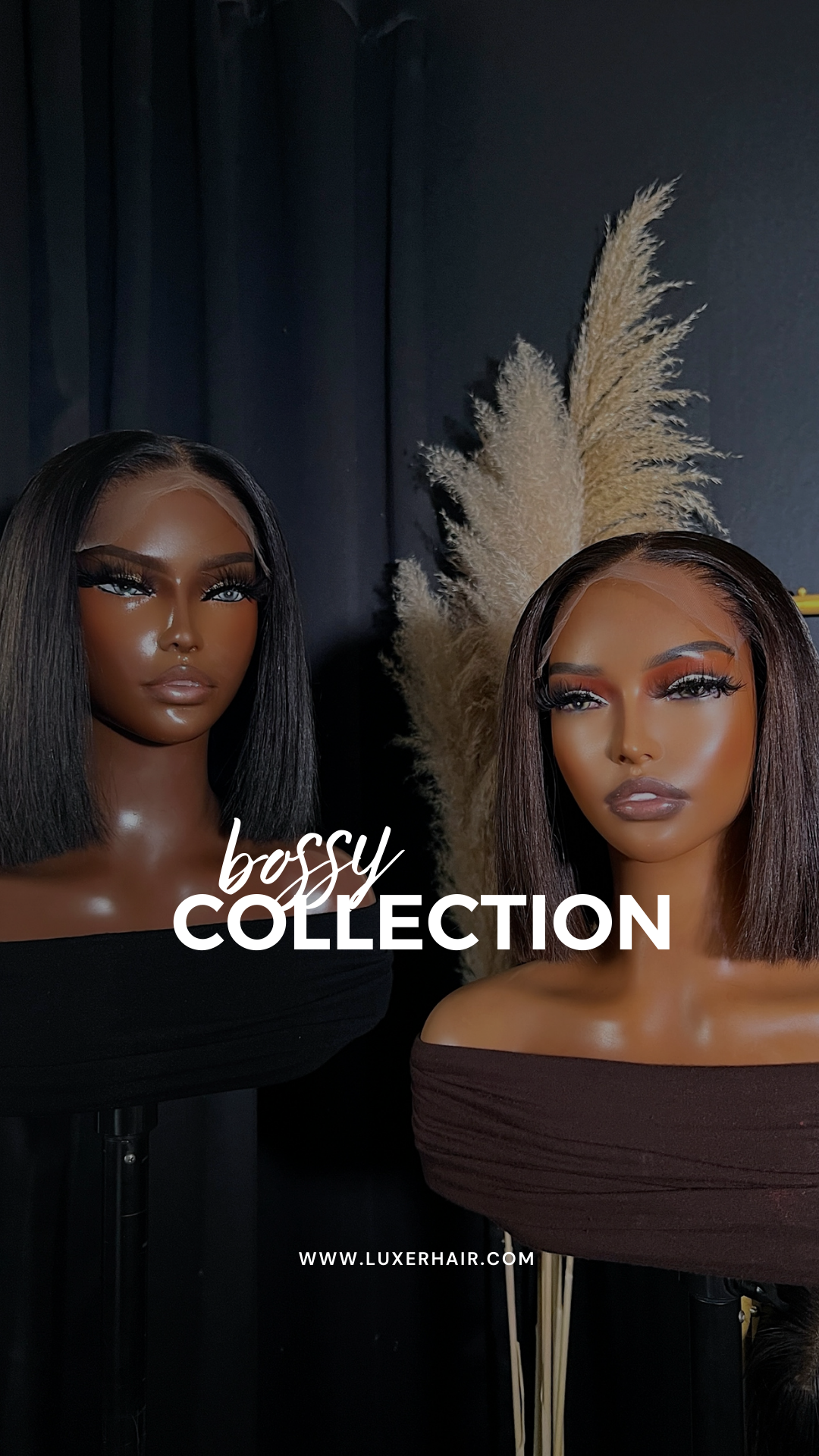 Bossy Collection